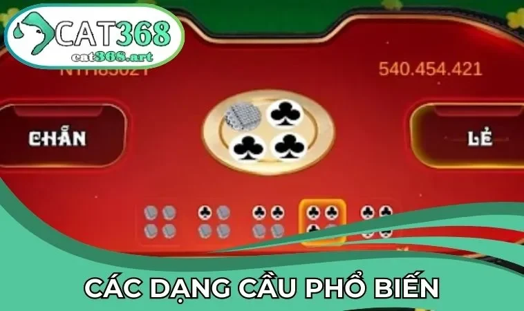 Các dạng cầu phổ biến