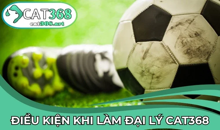 Top điều kiện quan trọng để trở thành đại lý