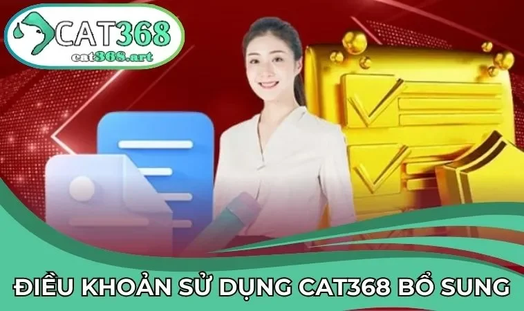 Chính sách bổ sung về điều khoản dịch vụ