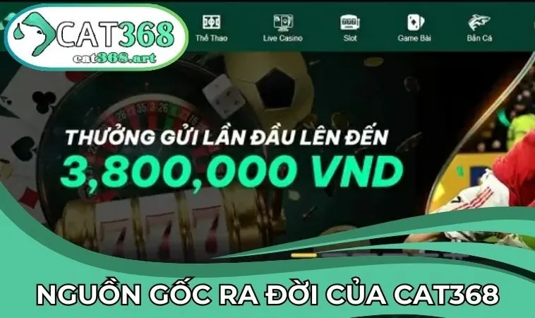Giới thiệu CAT368