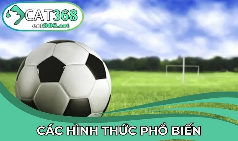 Các hình thức phổ biến