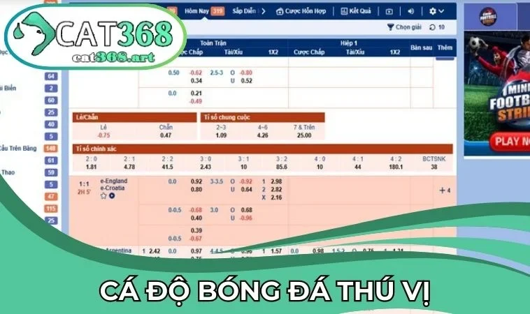 Cược bóng đá tại thể thao CAT368