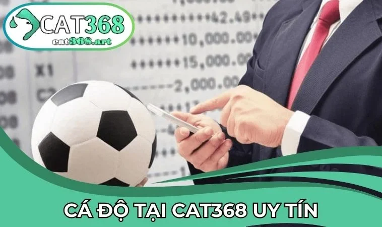 CAT368 là địa chỉ cá độ uy tín, công bằng